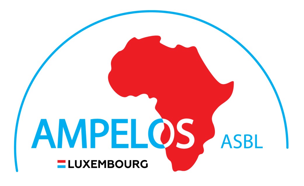 lions club luxembourg international